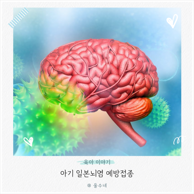 아기 <b>일본뇌염</b>예방접종 생백신 사백신 차이와 부작용