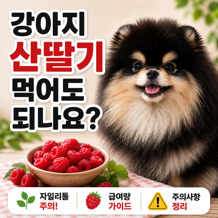  강아지 산딸기 먹어도 되나요? 자일리톨·급여량·주의사항 총정리