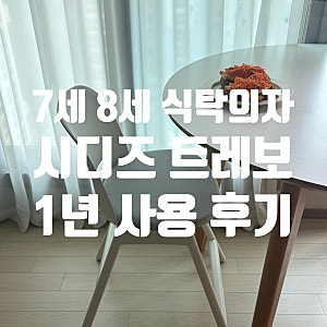 7세 8세 식탁의자 겸 공부의자 시디즈 트레보(TREVO) 내돈내산 1년 사용 후기 (단점 포함)