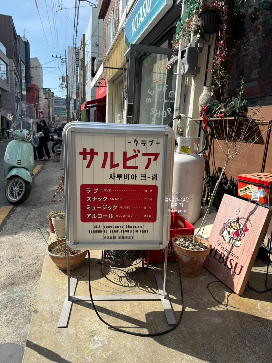 사루비아크럽 사진 4