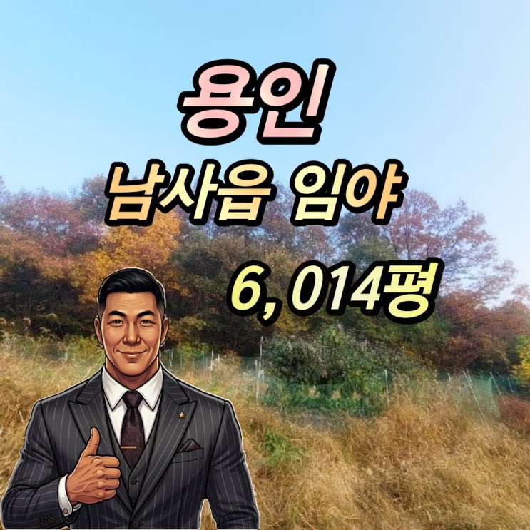  용인 남사읍 임야 경매 6천평 5억대 2023타경10367