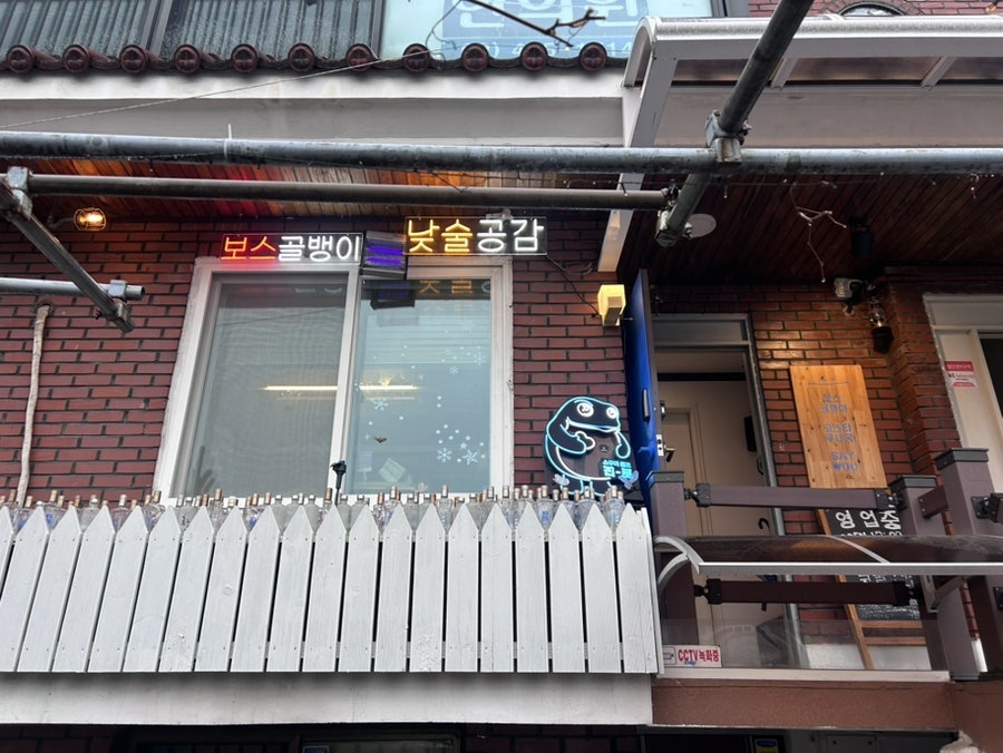 입큰개구리 사진 3