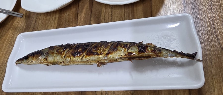 감포참가자미 사진 4