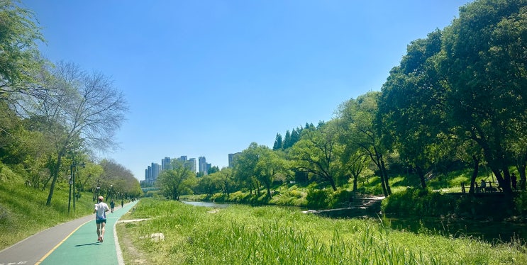  양재천 존2 러닝 22km : 1년 전과 비교한 러닝 데이터