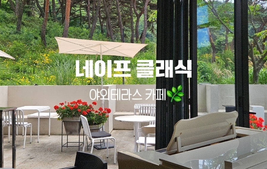 네이프클래식 사진 1
