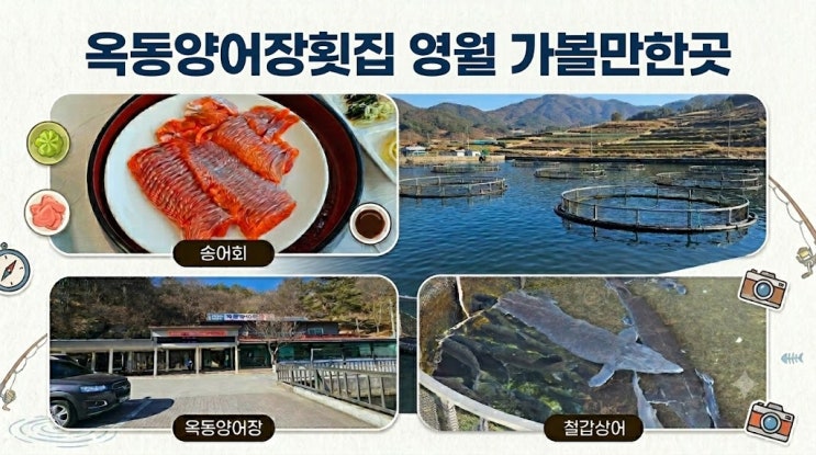  영월 가볼만한곳 김삿갓계곡 송어회 철갑상어 옥동양어장횟집