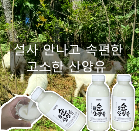  첨가물 거의 없는 속편한 산양유100% 드림목장 우유