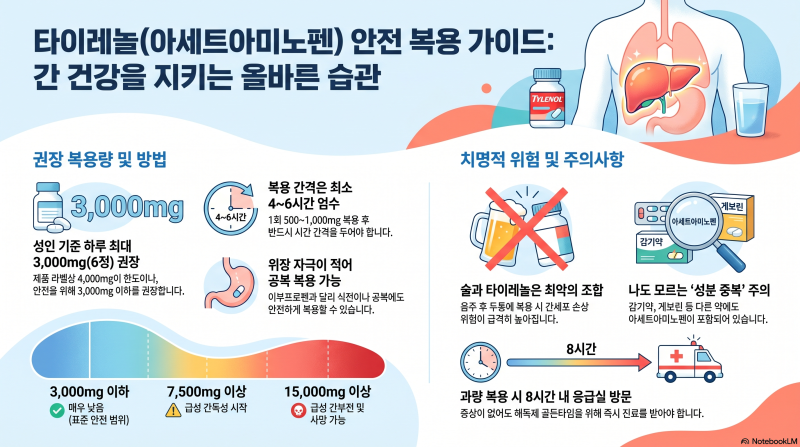 타이레놀 먹기 전 알아야 할 것 — 간 손상·금기·복용 주의