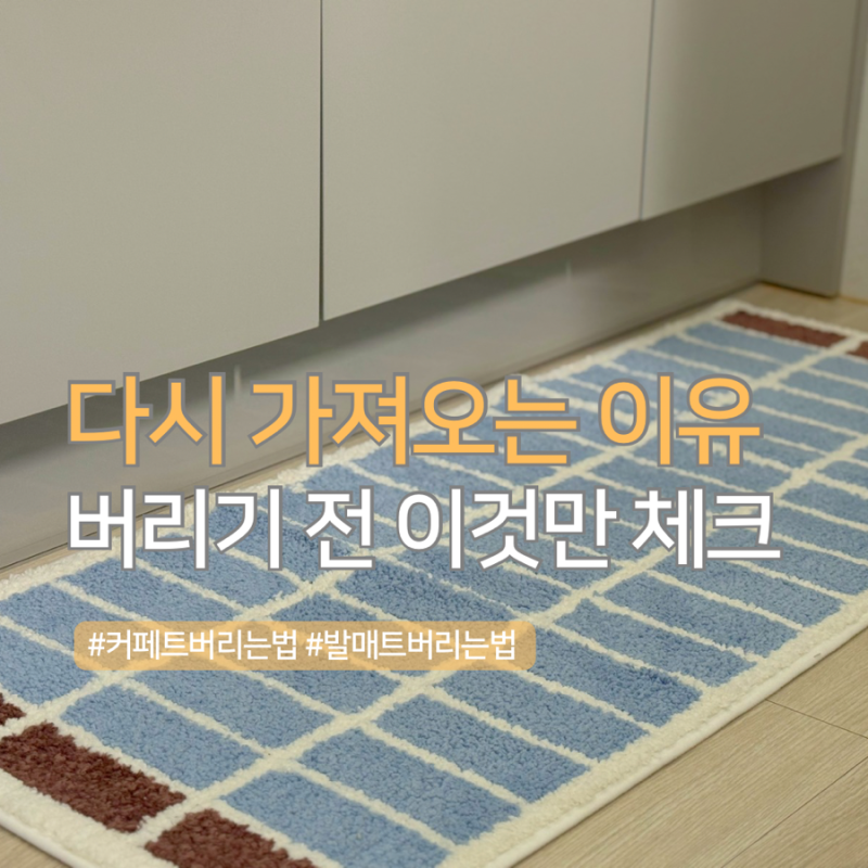 카페트 버리기 전 체크리스트, 1분이면 확인 끝납니다