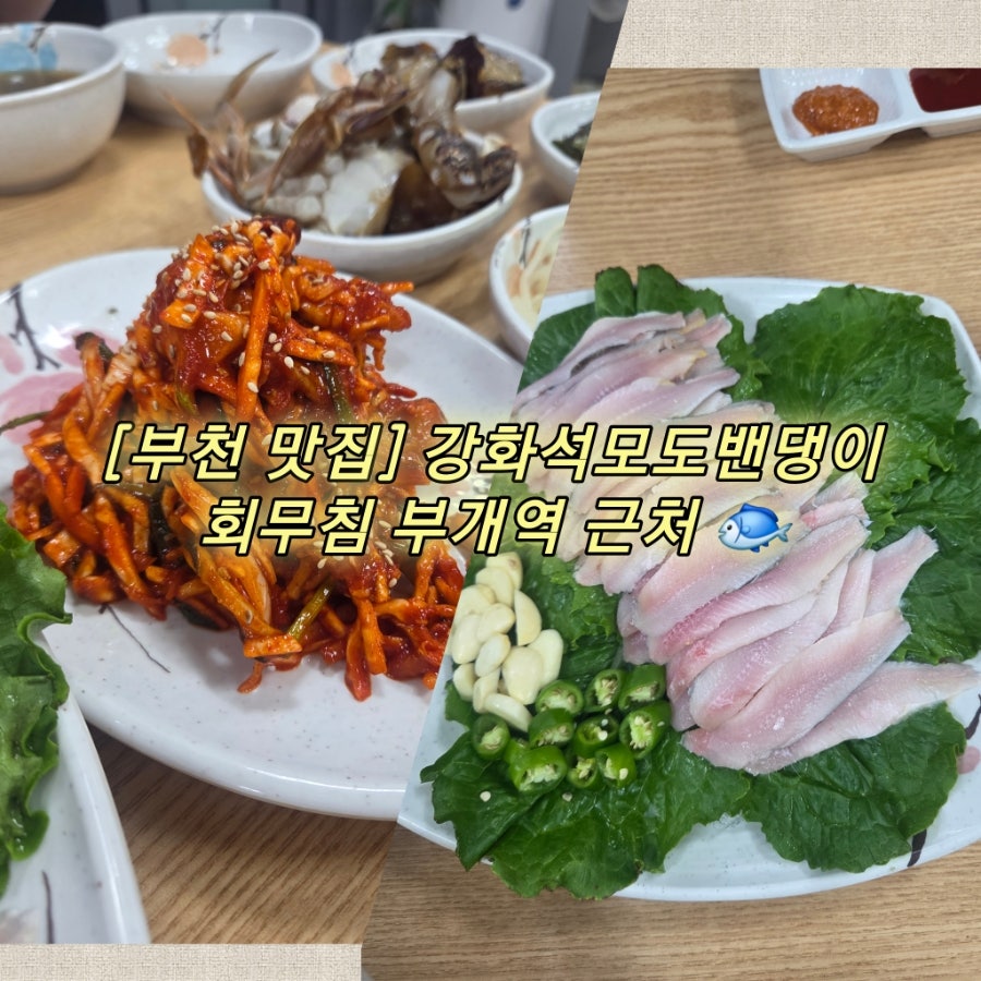 강화석모도밴댕이 사진 1
