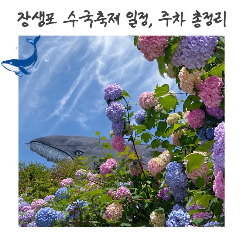 2026 울산 장생포 수국축제 일정 주차 장생포 고래문화마을 6월 가볼만한곳