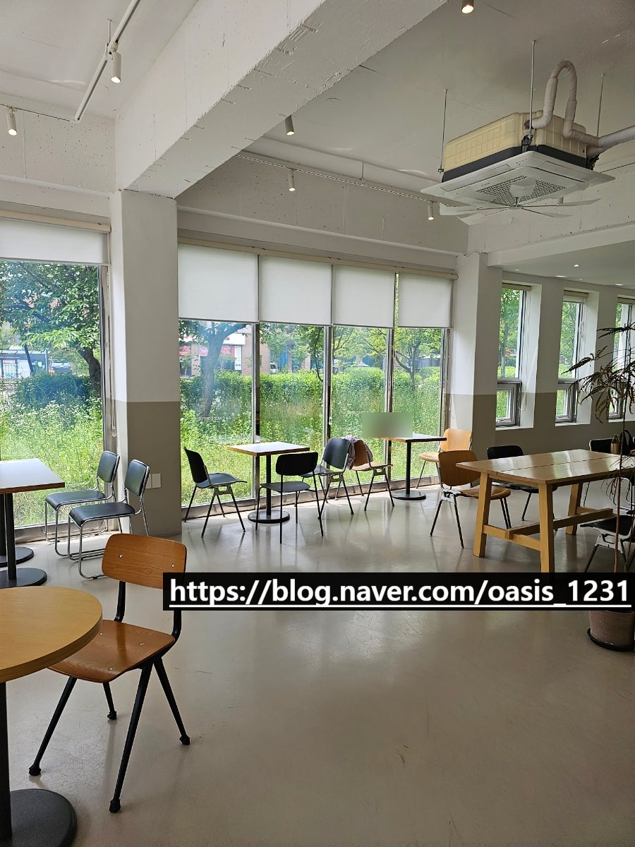에아케이크 사진 5