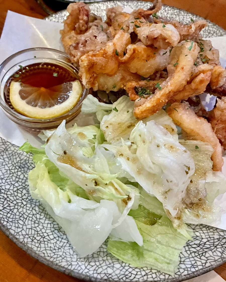 단단 사진 4
