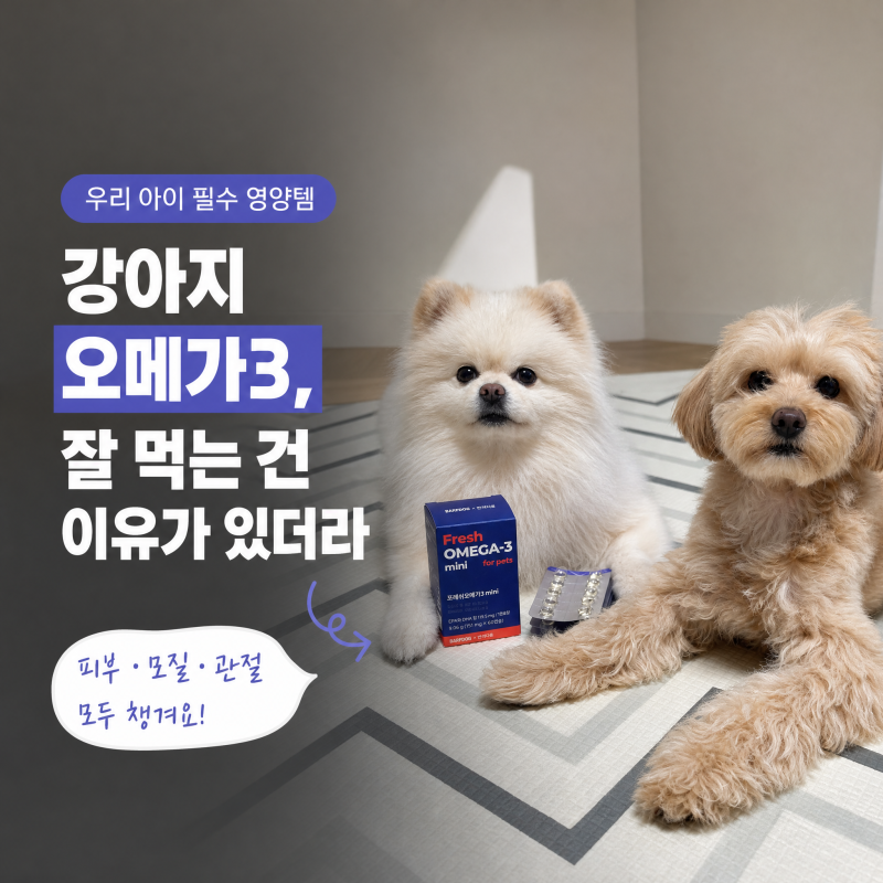 강아지오메가3 먹이기 편해서 꾸준히 챙기게 된 반려다움 프레쉬오메가3 미니