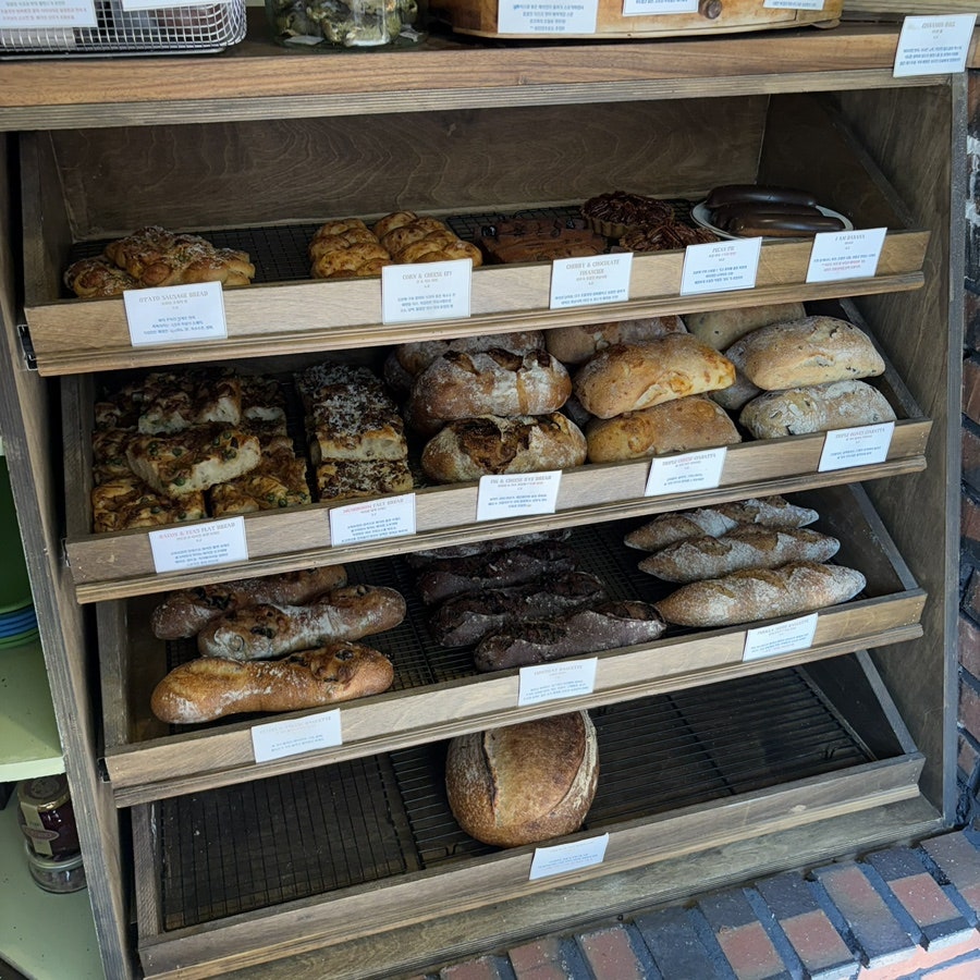 오파토 사진 5