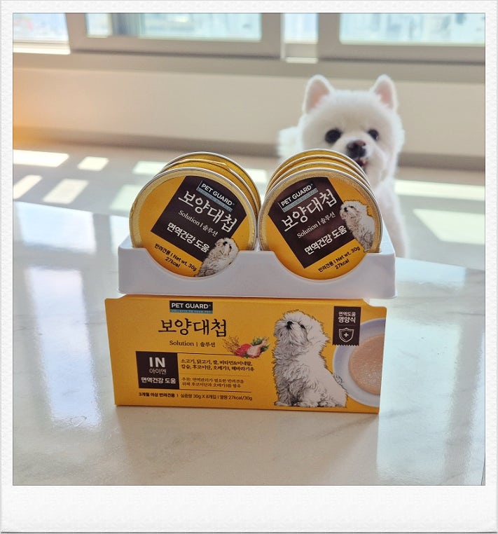  15살 노견 땡이도 잘 먹는 보양대첩캔, 강아지면역력 챙기는 습식간식 후기