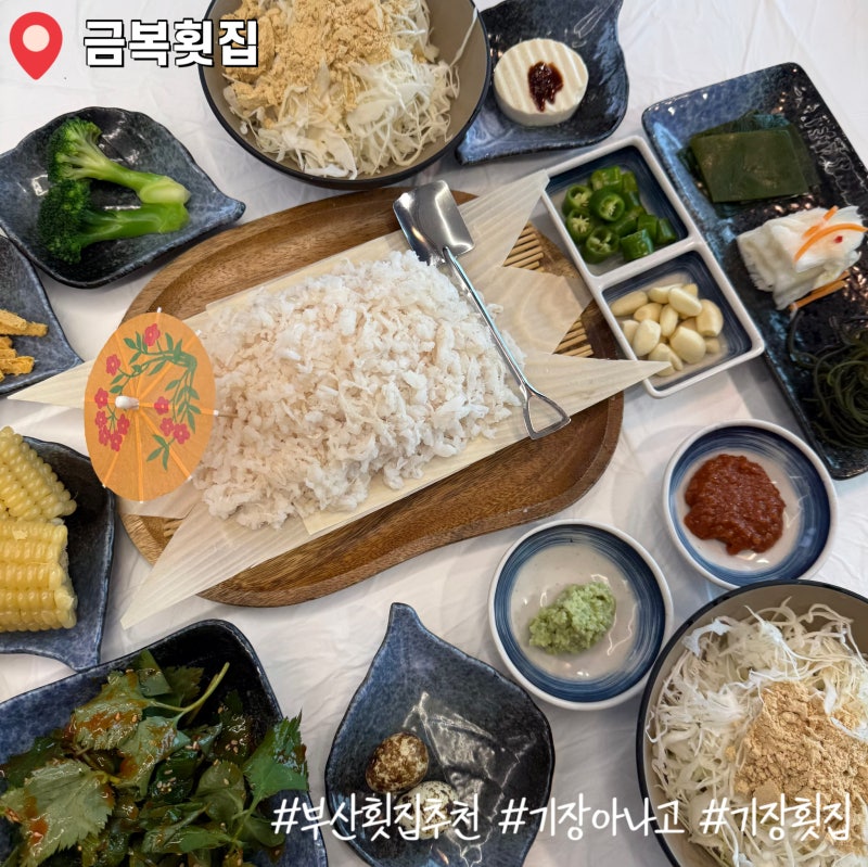 [부산 기장] 부산횟집추천 기장횟집 애견동반가능식당 "금복횟집"