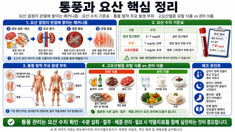 통풍 자가진단— 요산 수치 완전 해설