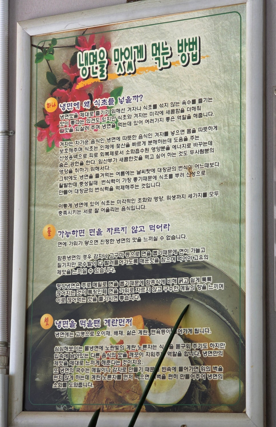 성언 사진 4