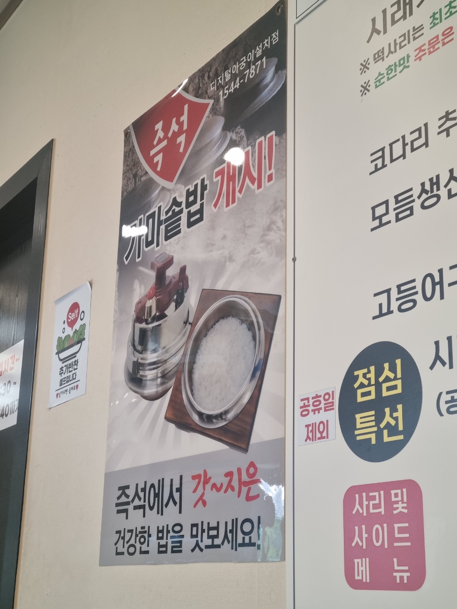 미스터리코다리 사진 6