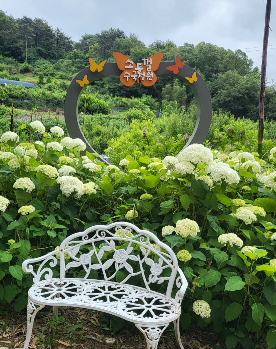 김가네대동국수 사진 5