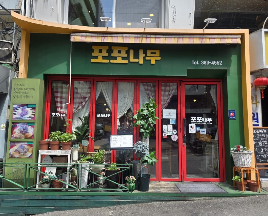 포포나무 사진 1