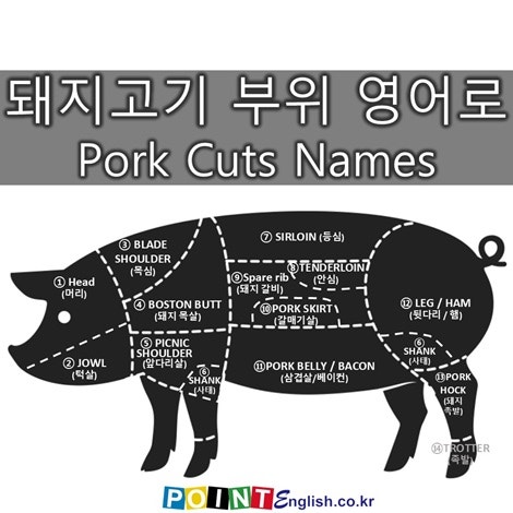 Pork Cuts 돼지고기 부위별 명칭 및 관련된 음식 종류 영어 표현 - 가브리살, 갈매기살, 항정살 ....