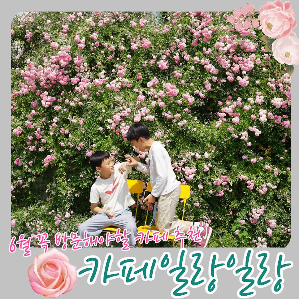 일랑일랑 사진 1