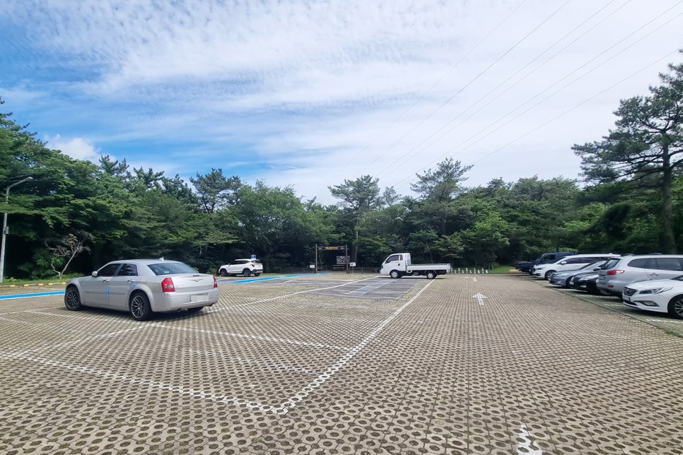 서귀포자연휴양림 야영장 사진 5