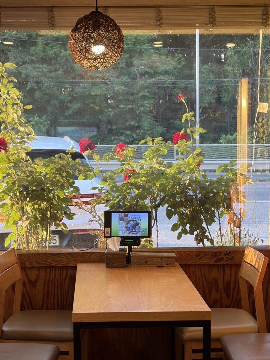 멸치국시와돈까스 사진 1