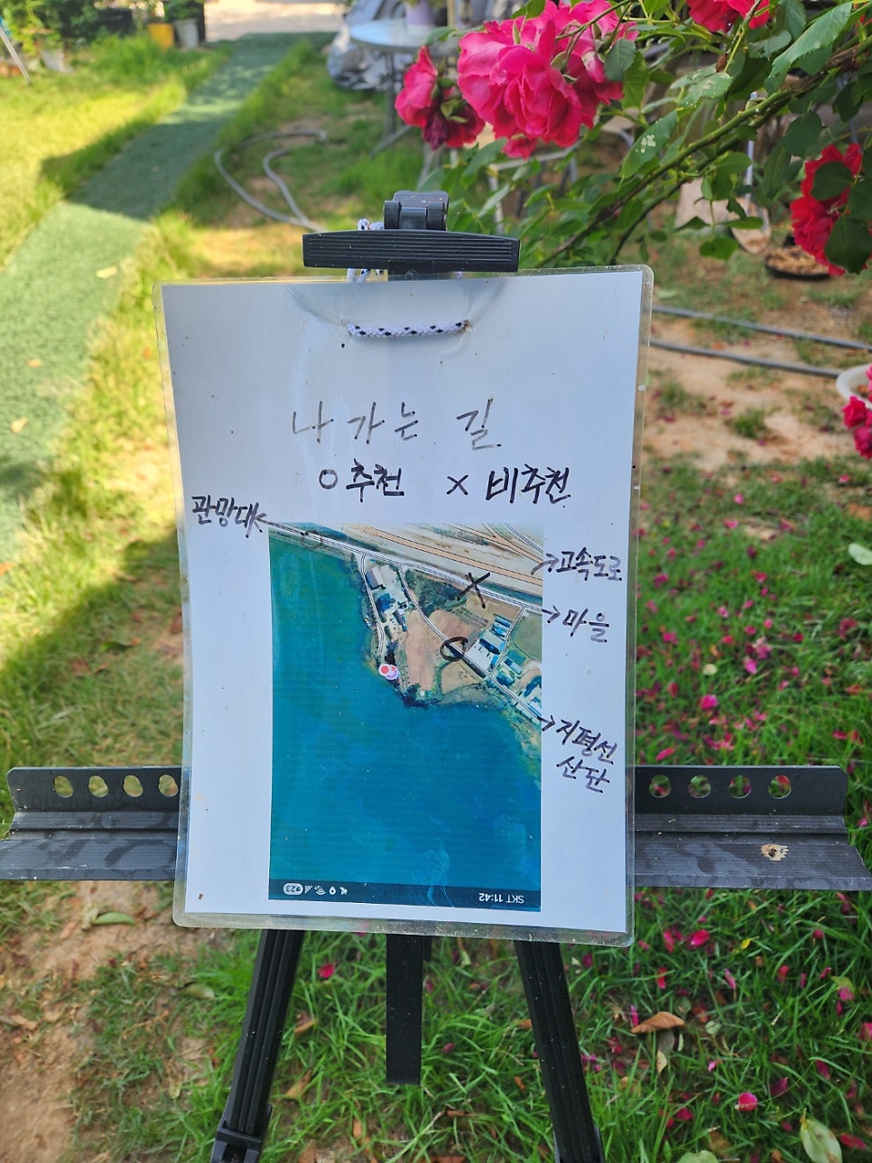 빠뽕 사진 4