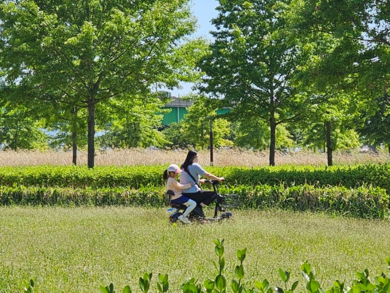 양산 황산공원 자전거대여 양산 모토벨로 페페/ 2인 자전거 전기자전거 스쿠터대여