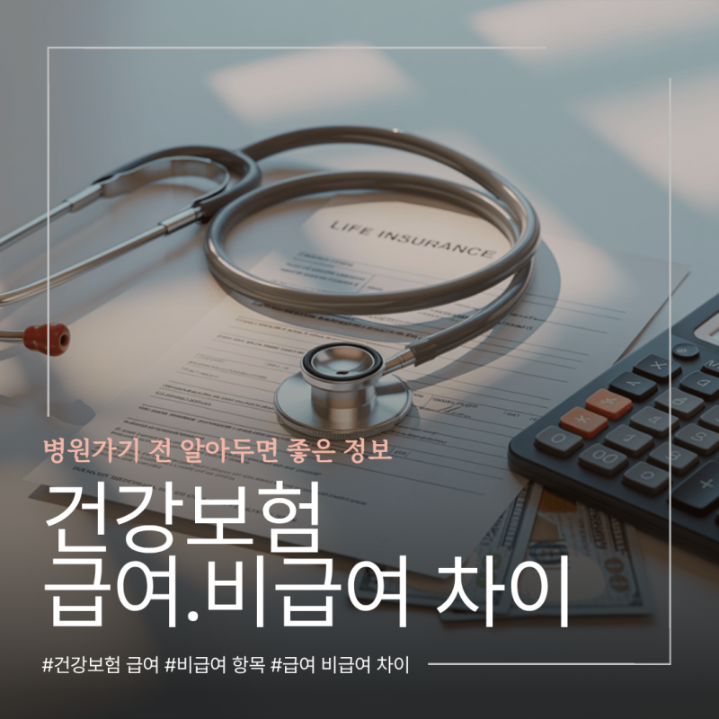 건강보험 급여 뜻 비급여 항목 차이, 병원 가기 전 확인할 점