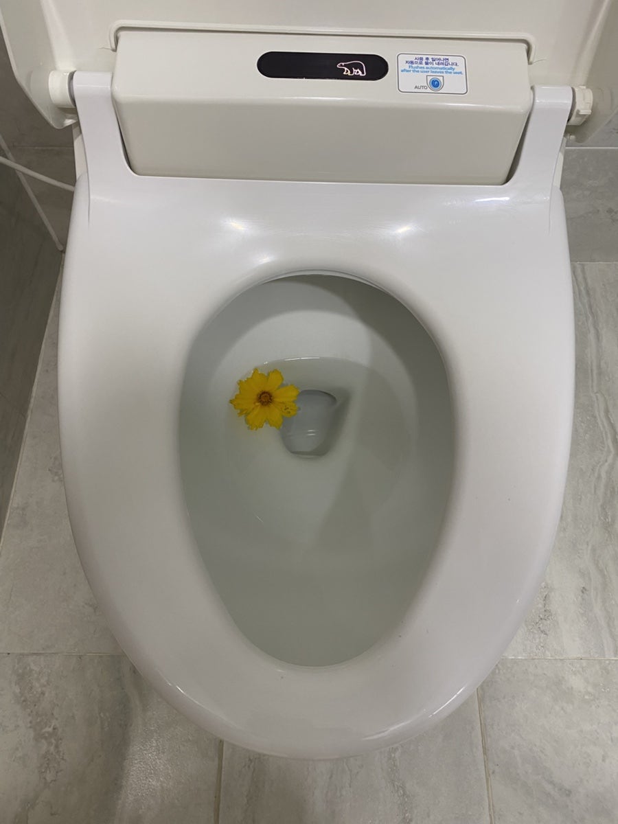 청산도 사진 5