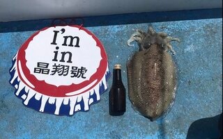  펑후 젠샹호 야간 오징어 낚시 - 현지인이 권장하는 밤바다 체험