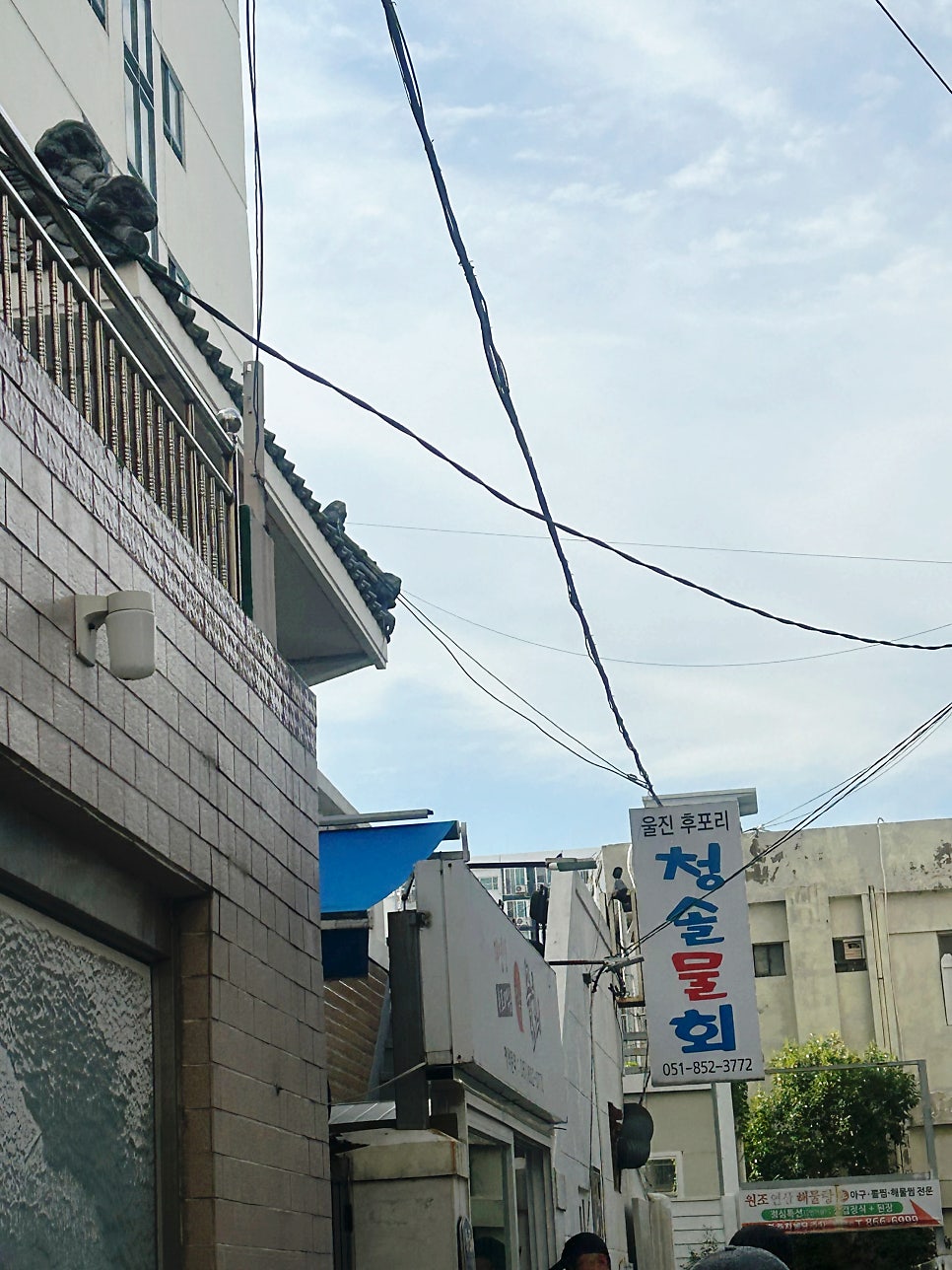 청솔물회 사진 2