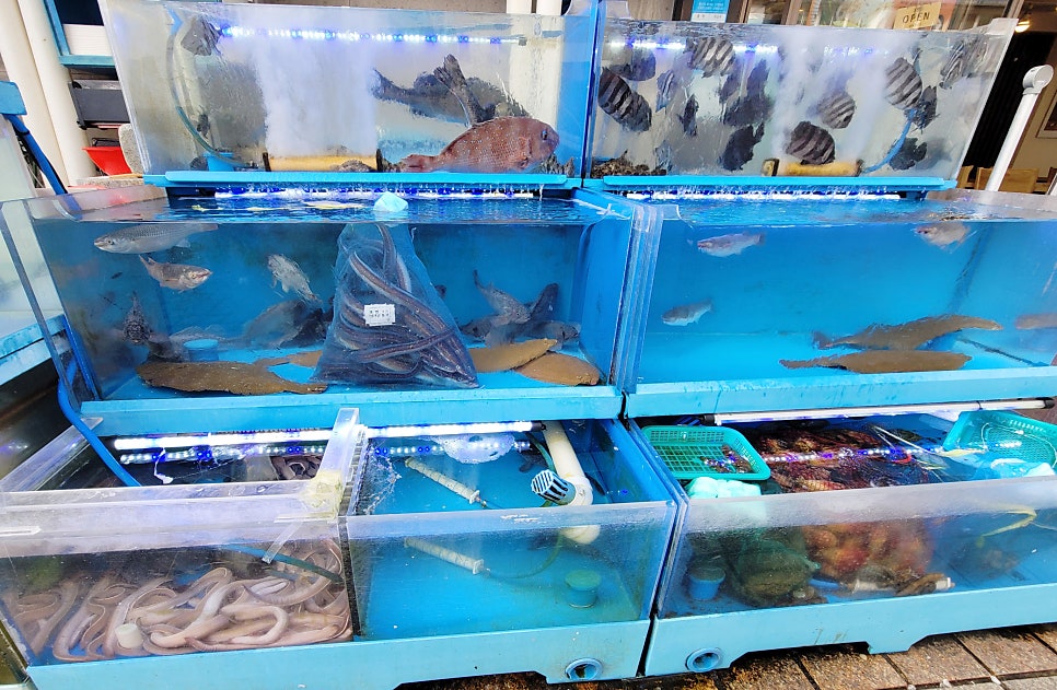 남해횟집 사진 4