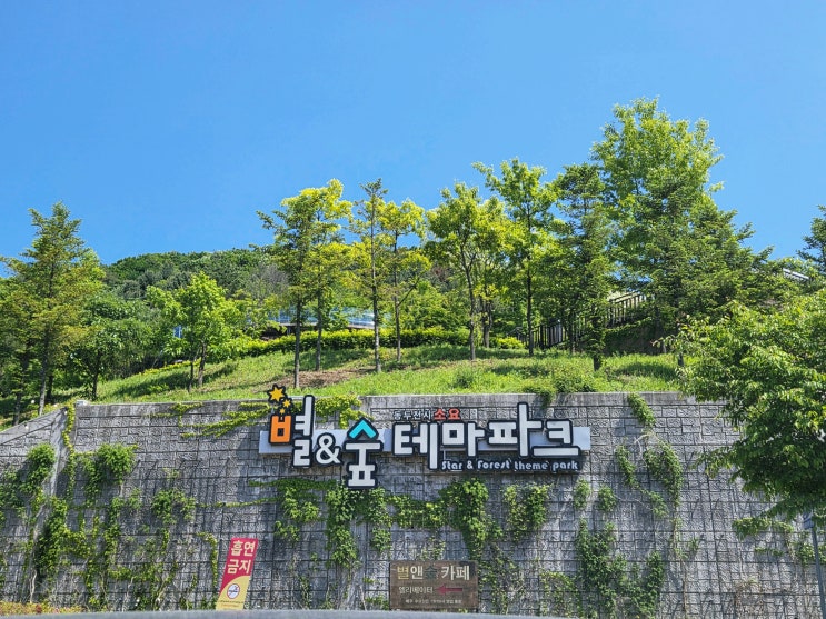  동두천 캠핑장 추천｜소요별앤숲테마파 16번 데크 후기️