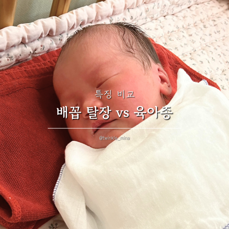 신생아 아기 배꼽 탈장 육아종 특징 비교