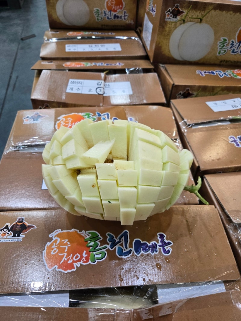 메론탐구