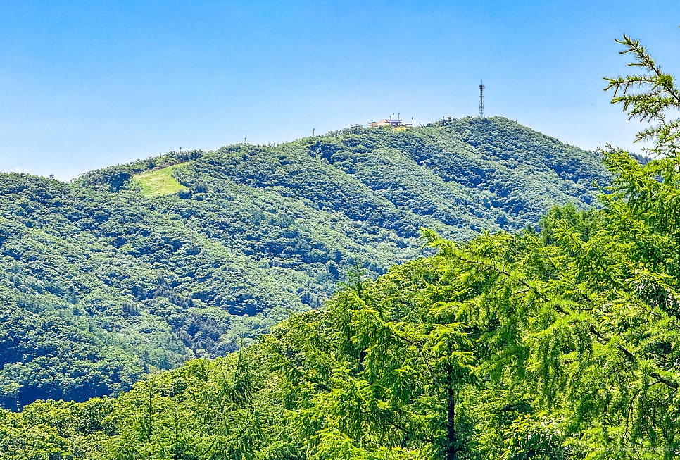 뒷골 사진 8