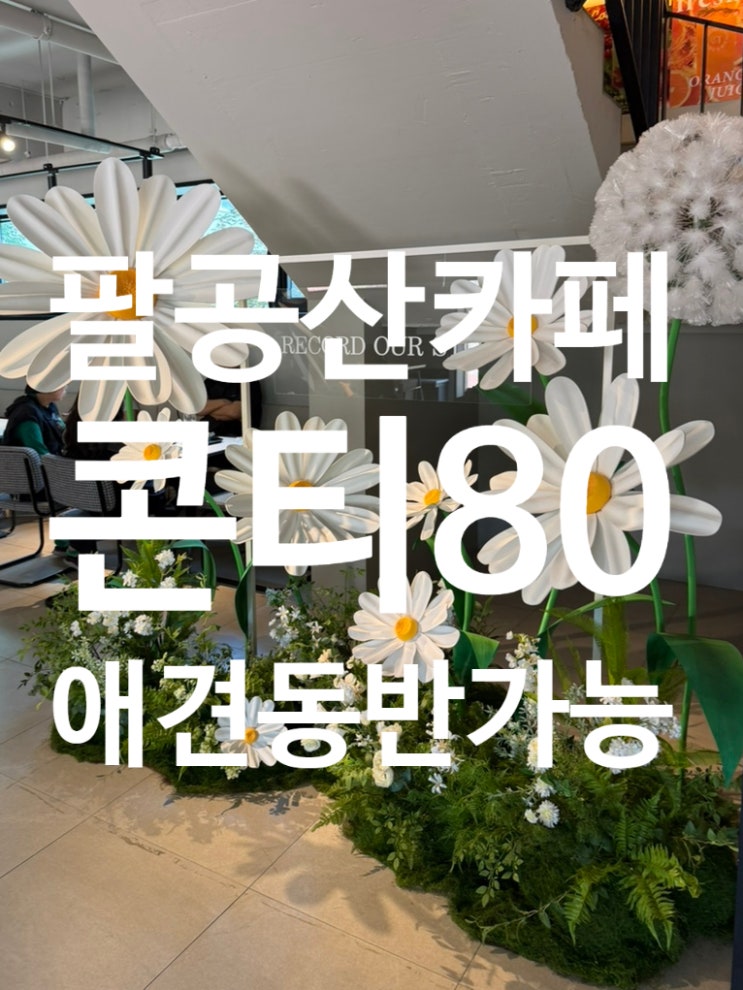  팔공산 데이트코스 추천｜애견동반 가능한 콘티80에서 힐링하고 왔어요