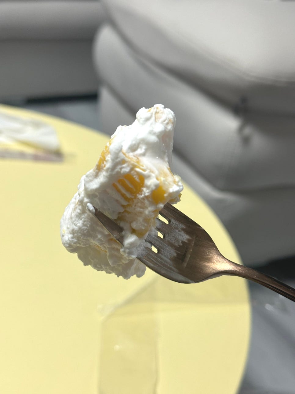 팡그루 사진 6
