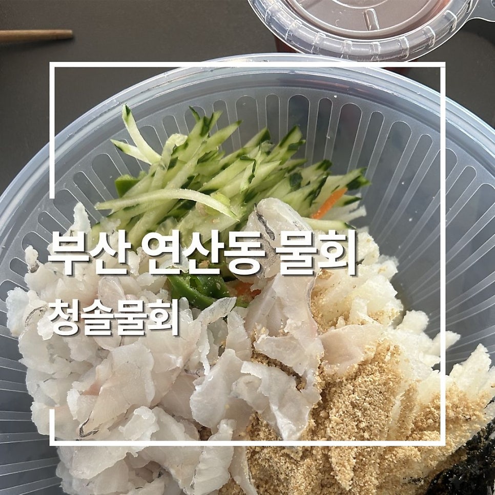 청솔물회 사진 1