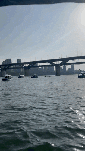 서울 [뚝섬한강공원] 돗자리펴고 라면먹기 배달존 오리보트 가격 및 후기