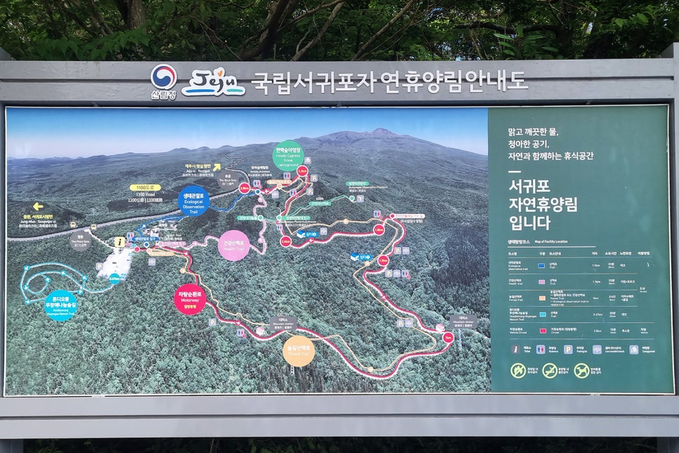 서귀포자연휴양림 야영장 사진 6