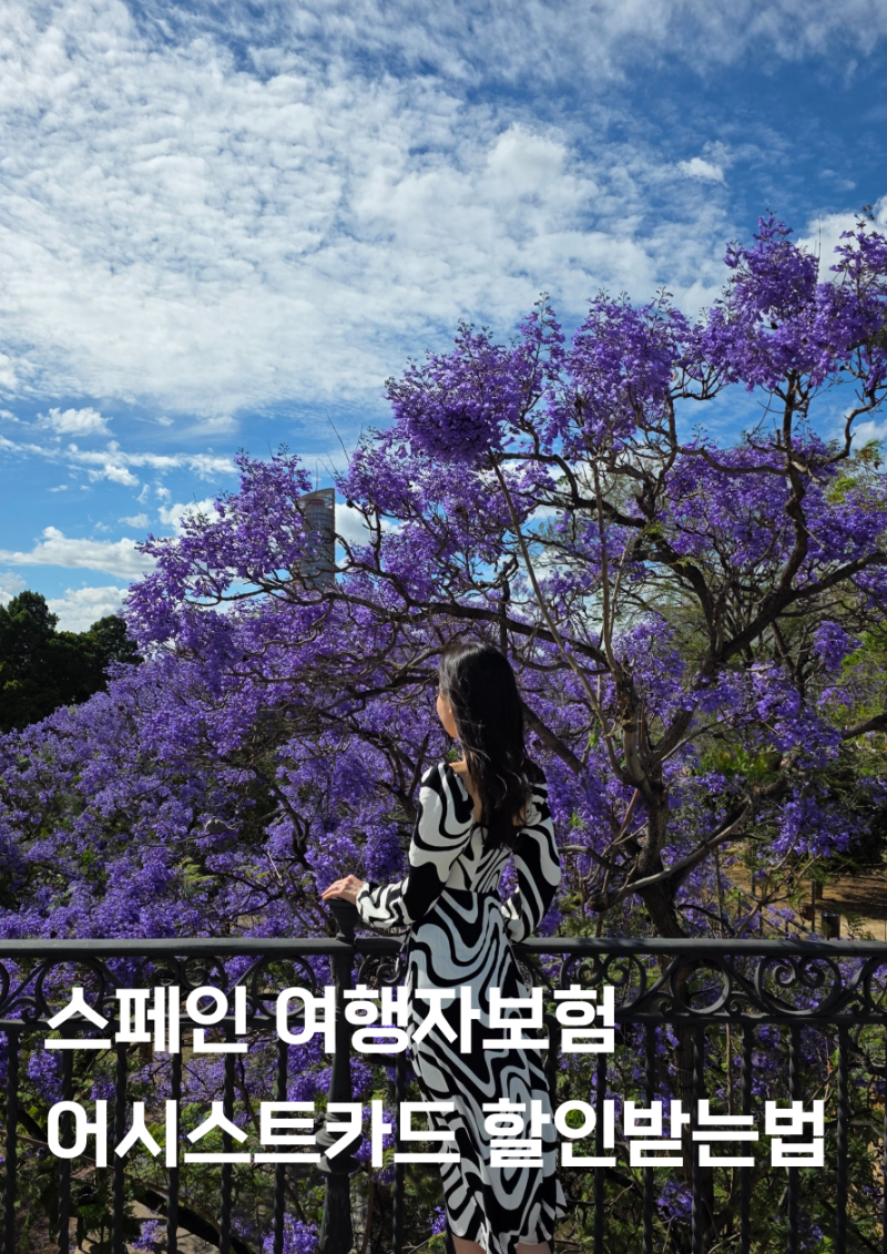 스페인 유럽 한달살기 어학원 어학연수 어시스트카드 내돈내산 후기 및 여행자보험 15% 할인....
