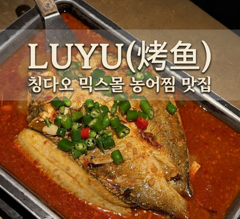 [칭다오/믹스몰] 루위(LUYU) 카오위 농어찜 맛집 완샹청 가볼만한 곳 웨이팅 위치 주문방법 후....