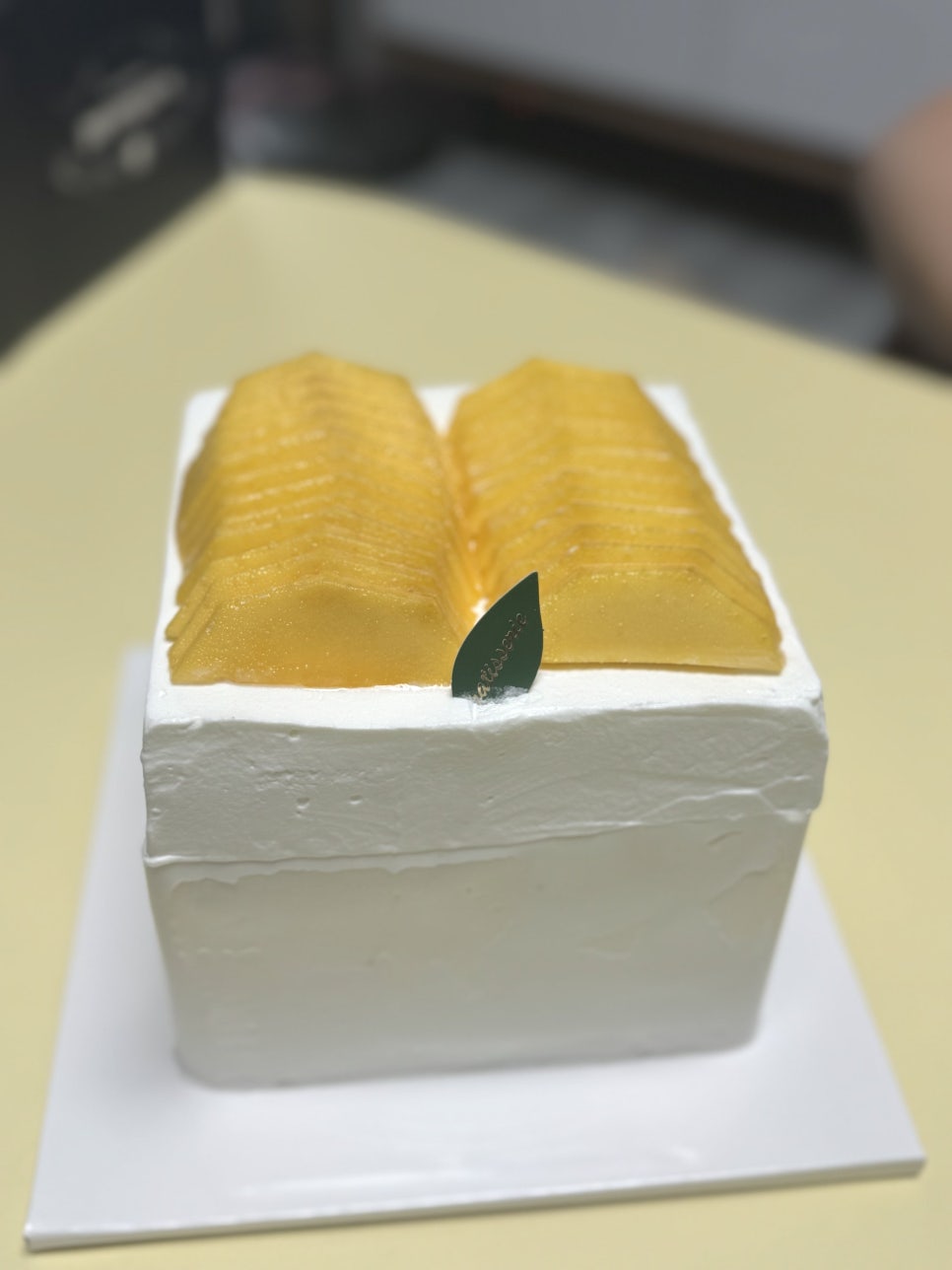 팡그루 사진 2