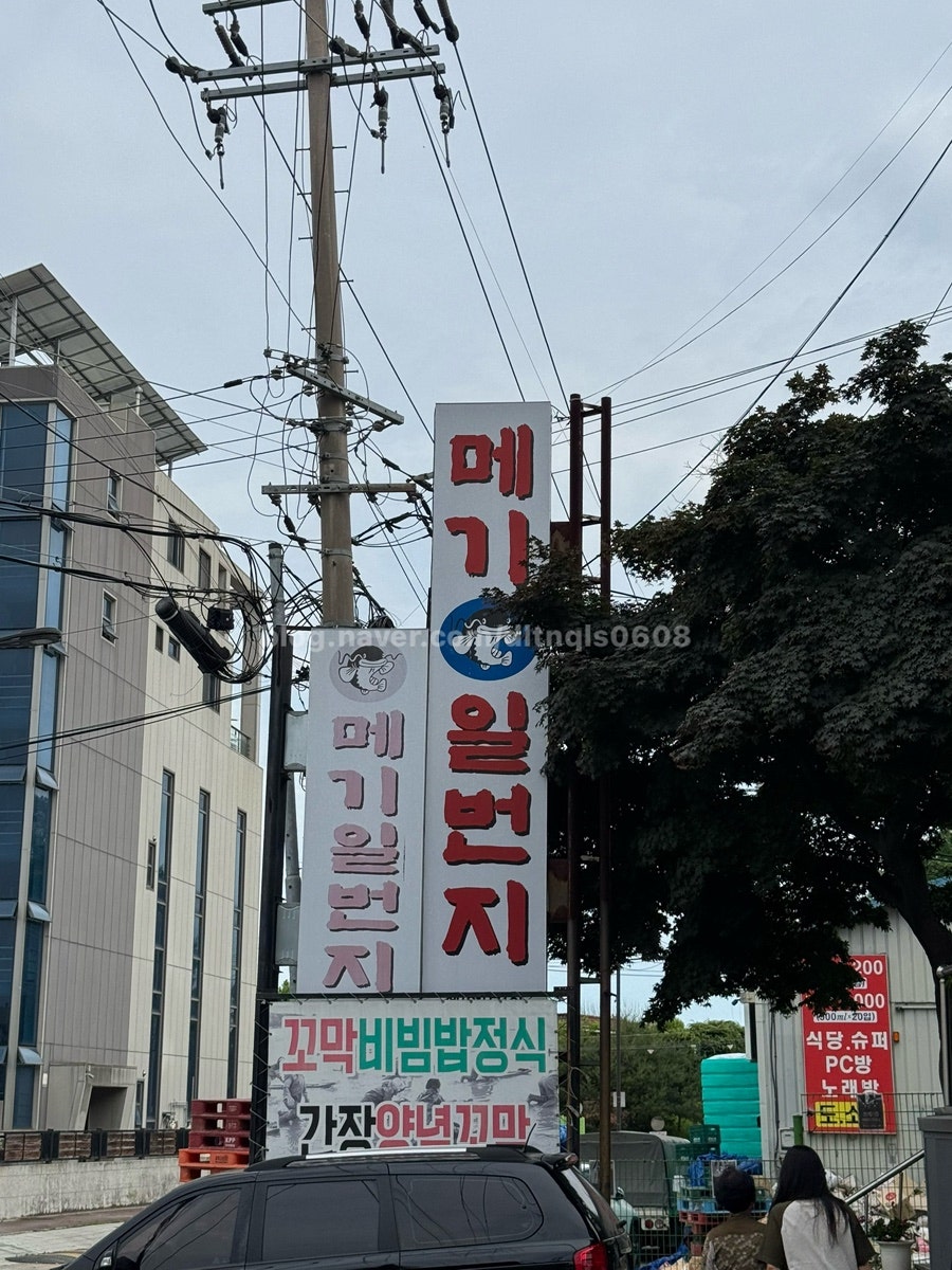 메기일번지 사진 1